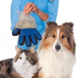 Vacht Verzorgingsborstel Voor Huisdieren - Blauw - LimitedDeals - Voor Honden Katten Konijnen Paarden - Tevens Massage Handschoen Voor Dieren! - Goed Voor De Verzorging Van De Vacht 17 Vacht Verzorgingsborstel Voor Huisdieren - Blauw - LimitedDeals - Voor Honden Katten Konijnen Paarden - Tevens Massage Handschoen Voor Dieren! - Goed Voor De Verzorging Van De Vacht -Huisdier Verkoop 1189x1200 3