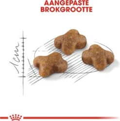 Royal Canin Kitten - Kittenvoer - 2 Kg 24 Royal Canin Kitten - Kittenvoer - 2 Kg -Huisdier Verkoop 1190x1200 19