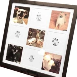 Merkloos Paw Print Pad - Pootafdruk Maken Van Hond Of Kat -Huisdier Verkoop 1197x1200 11