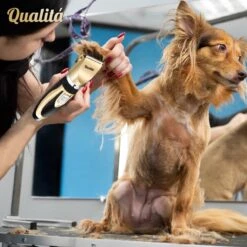 Merkloos Professionele Honden Tondeuse Set - Tondeuse Voor Huisdier Honden En Katten - Hondentrimmer - Hondentondeuse 15 Merkloos Professionele Honden Tondeuse Set - Tondeuse Voor Huisdier Honden En Katten - Hondentrimmer - Hondentondeuse -Huisdier Verkoop 1198x1200 12