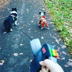 Wigzi Dual Doggie 2.0 Voor Twee Honden - Hondenriem - Grijs - 3m - <22 Kg (per Hond) -Huisdier Verkoop 1198x1200 3