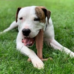 Spot Bam-Bones Plus Easy Grip - Veilig Kauwbot Voor Honden - Speciaal Voor Sterke Kauwers - Verzorgt Het Gebit Van De Hond - Rund Of Kip - S/M/L - Maat: Large, Smaak: Kip -Huisdier Verkoop 1198x1200 30