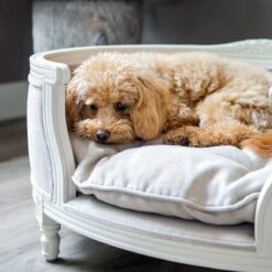 Lord Lou - George Blauw Velvet S - Luxe Hondenmand - Luxe Kattenmand - 49x40x31 -Huisdier Verkoop 1198x1200 38