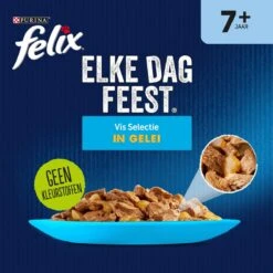 Felix Elke Dag Feest Vis 7+ Senior - Katten Natvoer - 48 X 85g -Huisdier Verkoop 1198x1200 41