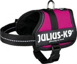 Julius K9 Original Powertuig/Harnas - Fuchsia - S - Mini/49-67cm -Huisdier Verkoop 1200x1002 4