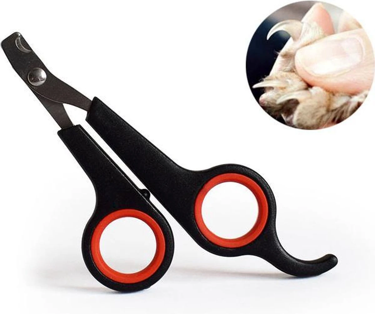 Noix Katten Nagelknipper - Nagelschaar - Dieren Nagelschaartje - Geschikt Voor De Kat 3 Noix Katten Nagelknipper - Nagelschaar - Dieren Nagelschaartje - Geschikt Voor De Kat