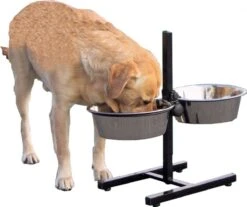 H-Standaard Inclusief Roestvrijstalen Voerbakken - 24 Cm 10 H-Standaard Inclusief Roestvrijstalen Voerbakken - 24 Cm -Huisdier Verkoop 1200x1005 1