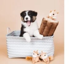 Zippy Paws - Petshop By Fringe Studio- Intelligentie Spel - Speelgoed Hond - Honden - Puzzel - Eekhoorn -Huisdier Verkoop 1200x1014 5