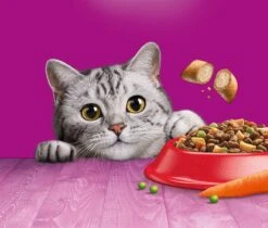 Whiskas 1+ Kattenbrokken - Rund - Doos 5 X 950 G -Huisdier Verkoop 1200x1019 8