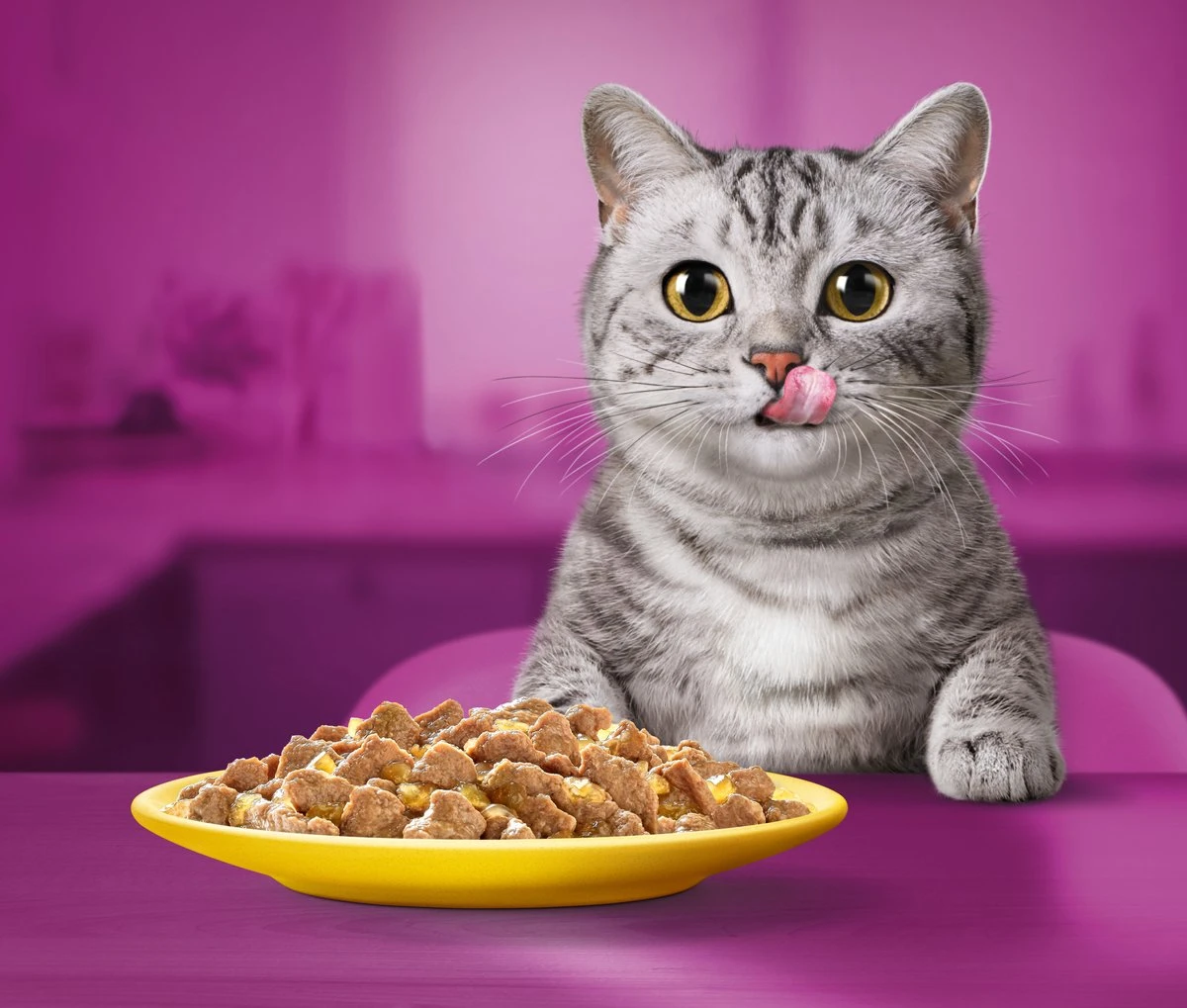 Whiskas 1+ Natvoer - Gevogelte - Selectie In Gelei - Maaltijdzakjes 80 X 85 G 7 Whiskas 1+ Natvoer - Gevogelte - Selectie In Gelei - Maaltijdzakjes 80 X 85 G - Afbeelding 5