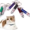 Merkloos Laser Lampje Voor Kat - Met Mini Zaklamp - Kattenlampje -Huisdier Verkoop 1200x1021 8