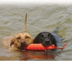 Kong Training Dummy - Hondenspeelgoed - Oranje - L - 27 Cm -Huisdier Verkoop 1200x1022 5