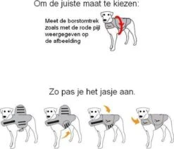 Thundershirt Antistress Vest - Dieren Antistressmiddel - Hond - Grijs - S - 43-53 Cm -Huisdier Verkoop 1200x1031 6