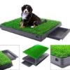 Merkloos Hondentoilet Kunstgras Met Bak - Indoor Dierentoilet - Uitneembare Opvangbak - Puppy Training Pets - Outdoor/Balkon/Tuin/Indoor Toilet - 50x64 Cm 2 Merkloos Hondentoilet Kunstgras Met Bak - Indoor Dierentoilet - Uitneembare Opvangbak - Puppy Training Pets - Outdoor/Balkon/Tuin/Indoor Toilet - 50x64 Cm -Huisdier Verkoop 1200x1041 2