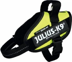 Julius K9 Julius-K9 IDC®Powertuig, S - Mini, Neon 17 Julius K9 Julius-K9 IDC®Powertuig, S - Mini, Neon -Huisdier Verkoop 1200x1041 4