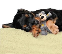 Kong Wild Knots Beer - Hondenspeelgoed - Assorti - M - 25 X 20 X 10 Cm -Huisdier Verkoop 1200x1042 5