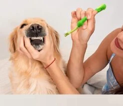 Merkloos Tandenborstel - Voor Huisdieren - Honden - 3 Zijdig - Multi-Hoek - Schoonmaken - Tanden - Slechte Adem - Tandsteen - Tandenborstel - Gezondheid - Blauw -Huisdier Verkoop 1200x1042 6