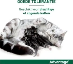 Bayer Anti Vlooienmiddel Advantage 80 > 4 Kg - 4 X 0,8 Ml 31 Bayer Anti Vlooienmiddel Advantage 80 > 4 Kg - 4 X 0,8 Ml -Huisdier Verkoop 1200x1042 7
