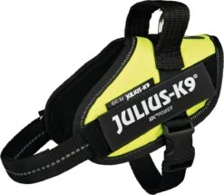 Julius K9 Julius-K9 IDC®Powertuig, XS - Mini-Mini, Neon 17 Julius K9 Julius-K9 IDC®Powertuig, XS - Mini-Mini, Neon -Huisdier Verkoop 1200x1043 4