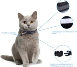 Kattenhalsband Veiligheidssluiting Kattenbandje Kitten Halsband Katten Halsband Reflecterend Verstelbaar 18-32Cm – Zwart -Huisdier Verkoop 1200x1047 12