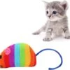 Merkloos EPIN | Pluche Regenboog Speelmuis | Katten Speelgoed | Speelmuizen | Speel Muisje 2 Merkloos EPIN | Pluche Regenboog Speelmuis | Katten Speelgoed | Speelmuizen | Speel Muisje -Huisdier Verkoop 1200x1057 16