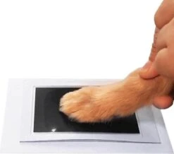 PrintMe - Paw Print Pad - Groter Formaat - Pootafdruk Maken Van Hond Of Kat - Zeer Gemakkelijk - Verbeterd Formaat! - Geen Inkt Op De Poot Van Uw Huisdier- Groot - Leuk Als Cadeau! -Huisdier Verkoop 1200x1060 4