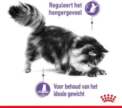 Royal Canin Appetite Control Care - Kattenvoer - 2 Kg -Huisdier Verkoop 1200x1066 8