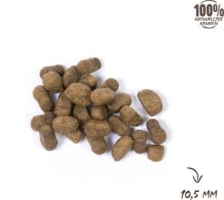 VITALstyle ADULT - Hondenbrokken - 12 Kg 14 VITALstyle ADULT - Hondenbrokken - 12 Kg -Huisdier Verkoop 1200x1067 2