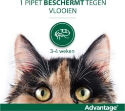 Bayer Anti Vlooienmiddel Advantage 80 > 4 Kg - 4 X 0,8 Ml 29 Bayer Anti Vlooienmiddel Advantage 80 > 4 Kg - 4 X 0,8 Ml -Huisdier Verkoop 1200x1070 8