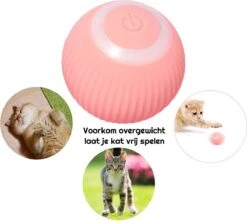 Otiume Slimme Katten Speeltje - Interactieve Zelf Rollende Bal Voor Katten - Kattenspeeltjes - USB Oplaadbaar- Turquoise -Huisdier Verkoop 1200x1072 11