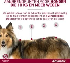 Bayer Advantix Spot-on 400/2000 25+ Kg - 4 Pipetten -Huisdier Verkoop 1200x1073 10
