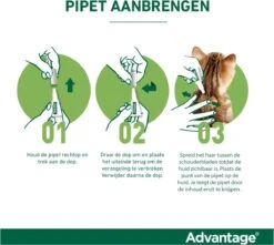 Bayer Advantage 40 Tegen Vlooien - <4kg - 4 X 0,4 Ml - Adult 31 Bayer Advantage 40 Tegen Vlooien - <4kg - 4 X 0,4 Ml - Adult -Huisdier Verkoop 1200x1073 13