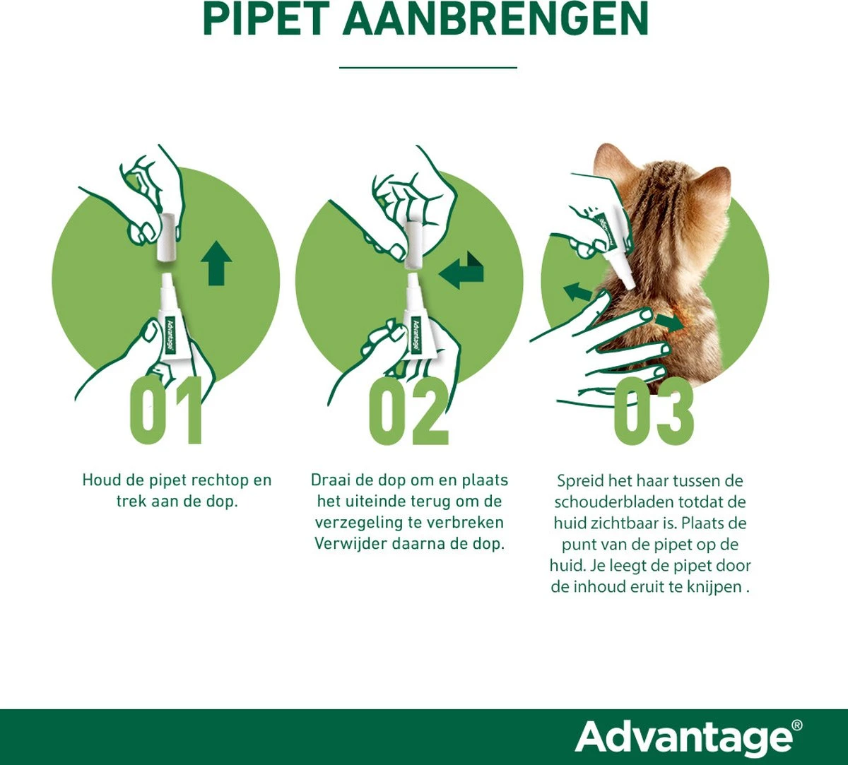 Bayer Advantage 100 Hond 4-10 Kg - 4 Pipetten à 1,0 Ml 14 Bayer Advantage 100 Hond 4-10 Kg - 4 Pipetten à 1,0 Ml - Afbeelding 12