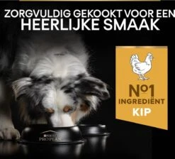 Pro Plan Medium Adult Everyay Nutrition - Honden Droogvoer - Kip - 14 Kg -Huisdier Verkoop 1200x1087 13