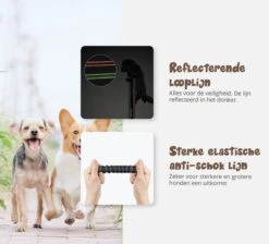 Hardloopriem Hond – Honden Riem Handsfree – Hardlopen Met Hond – 160-260 Cm Groen- Hardloopband Hond – Halsband Hond – Hondenlijn – Leiband Hond -Huisdier Verkoop 1200x1087 4