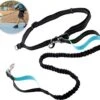Hardloopriem Hond – Honden Riem Handsfree – Hardlopen Met Hond – 160-260 Cm Blauw - Hardloopband Hond – Halsband Hond – Hondenlijn – Leiband Hond -Huisdier Verkoop 1200x1087 7