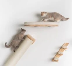 RHRQuality Wandmeubel Wandmontage Klimmuur Kat 53 X 43cm Luxe Kattenbed Creme Wand Muur Krabpaal Katten Muurbevestiging -Huisdier Verkoop 1200x1090 10