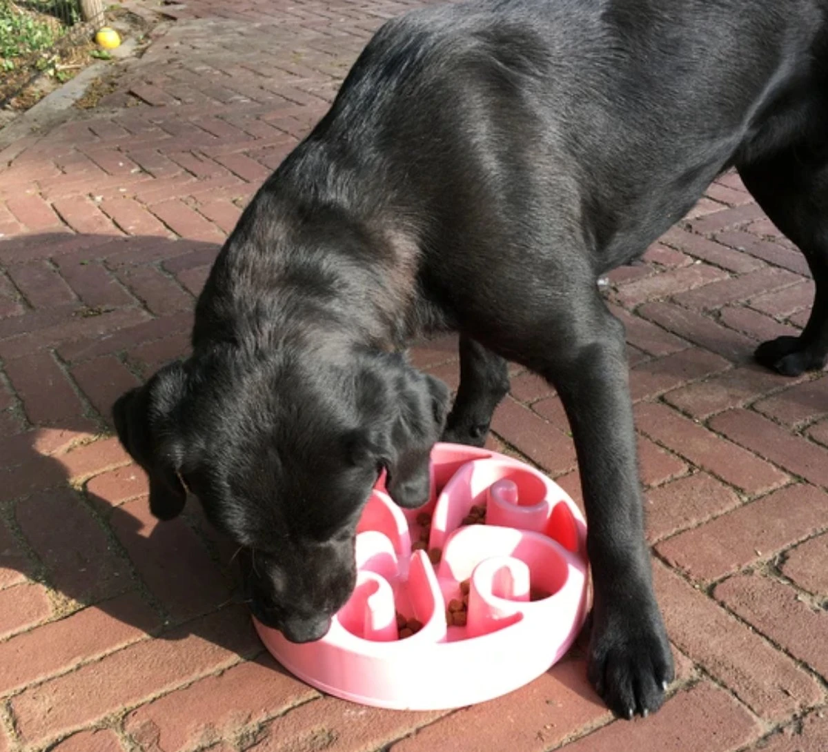 Eat Slow Live Longer Star Voerbak – Anti-schrok Voerbak – Slow Feeder Voor Honden – Anti-slip – Grijs – Ø30 Cm - Large/Extra Large – Geschikt Voor De Grotere Hond 4 Eat Slow Live Longer Star Voerbak – Anti-schrok Voerbak – Slow Feeder Voor Honden – Anti-slip – Grijs – Ø30 Cm - Large/Extra Large – Geschikt Voor De Grotere Hond - Afbeelding 2