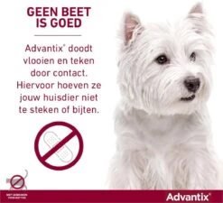 Bayer Advantix Spot-on 400/2000 25+ Kg - 4 Pipetten -Huisdier Verkoop 1200x1091 4