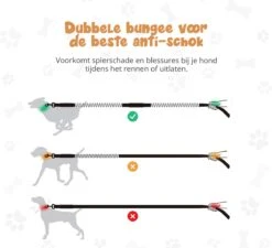 Hardloopriem Hond – Honden Riem Handsfree – Hardlopen Met Hond – 160-260 Cm Groen- Hardloopband Hond – Halsband Hond – Hondenlijn – Leiband Hond -Huisdier Verkoop 1200x1093