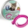 100% Biologische Vlooienband - Katten - Roze - Zonder Fipronil, Flumetrine, Imidaclorid Of Diazinon - Vlooien En Teken - Milieuvriendelijk - Kattenbandje 1 100% Biologische Vlooienband - Katten - Roze - Zonder Fipronil, Flumetrine, Imidaclorid Of Diazinon - Vlooien En Teken - Milieuvriendelijk - Kattenbandje -Huisdier Verkoop 1200x1096 11