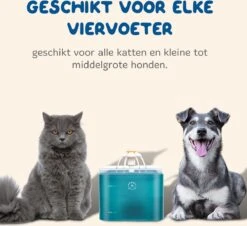 Pawwy® Drinkfontein Kat & Hond – Kattenfontein – Waterfontein Incl. 2 Filters En Schoonmaak Kit - 2 Liter - Groen -Huisdier Verkoop 1200x1096 2