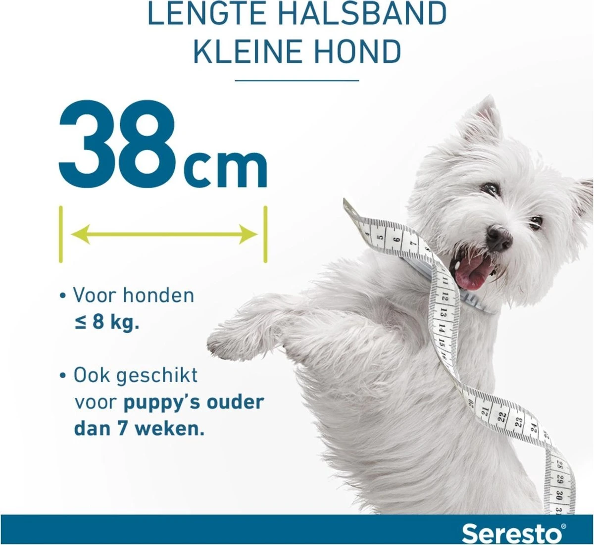Seresto Vlooien En Tekenband - Kleine Hond - 0 Tot 8 Kg 16 Seresto Vlooien En Tekenband - Kleine Hond - 0 Tot 8 Kg - Afbeelding 14
