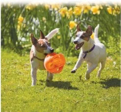 Kong Jumbler Ball - Assorti - M/L - Hondenspeelgoed - Ø14 Cm -Huisdier Verkoop 1200x1102 9