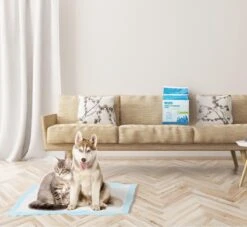 Nobleza 48DHD - Puppy Training Pads - 60 X 40 Cm - Zindelijkheidstraining - 50 Stuks 12 Nobleza 48DHD - Puppy Training Pads - 60 X 40 Cm - Zindelijkheidstraining - 50 Stuks -Huisdier Verkoop 1200x1105 2