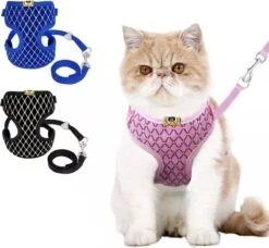 Merkloos Kattentuigje Met Looplijn - Kattenharnas - Kittentuigje - Kattenriem Met Looplijn - Kitten Tuigje Verstelbaar - Roze - Ixen 8 Merkloos Kattentuigje Met Looplijn - Kattenharnas - Kittentuigje - Kattenriem Met Looplijn - Kitten Tuigje Verstelbaar - Roze - Ixen -Huisdier Verkoop 1200x1107 15