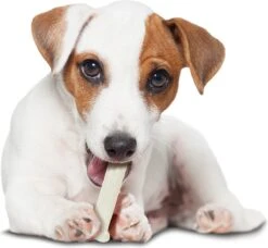 Nylabone Harde Bijters Kluif - Kip - Voor Honden Tot 20 Kg -Huisdier Verkoop 1200x1107 9