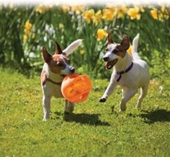 Kong Jumbler Ball - Assorti - M/L - Hondenspeelgoed - Ø14 Cm -Huisdier Verkoop 1200x1108 6