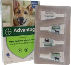 Bayer Advantage 100 Hond 4-10 Kg - 4 Pipetten à 1,0 Ml 36 Bayer Advantage 100 Hond 4-10 Kg - 4 Pipetten à 1,0 Ml -Huisdier Verkoop 1200x1109 1