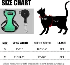 Kattentuigje Met Leiband Riem Kattenharnas Groen Maat L Kat & Kitten - Dieren Kattenriem - Cat Leash - Halsomvang 24 Tot 33cm - Borstomvang 36 Tot 41cm - Zootic® 12 Kattentuigje Met Leiband Riem Kattenharnas Groen Maat L Kat & Kitten - Dieren Kattenriem - Cat Leash - Halsomvang 24 Tot 33cm - Borstomvang 36 Tot 41cm - Zootic® -Huisdier Verkoop 1200x1110 5